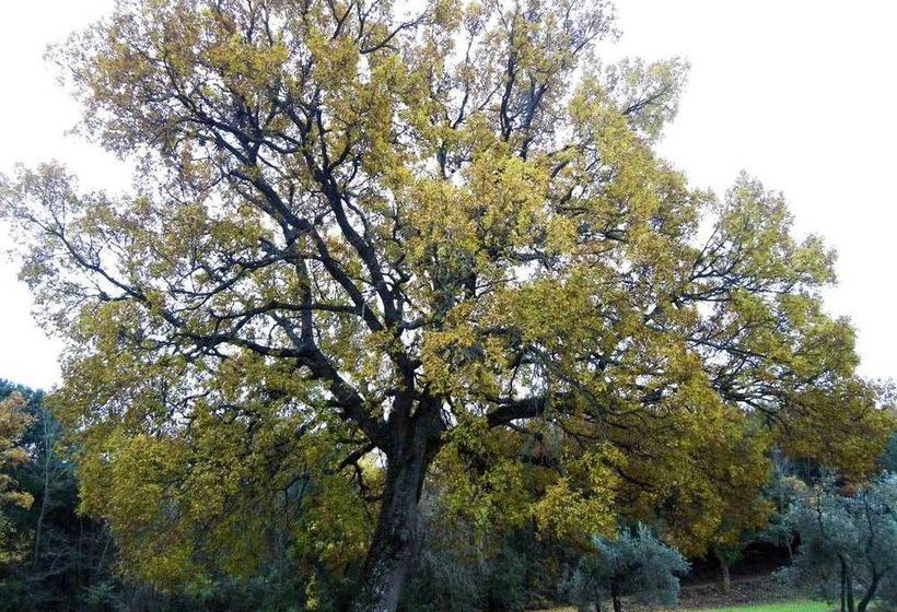 هتل Prato A Baldo