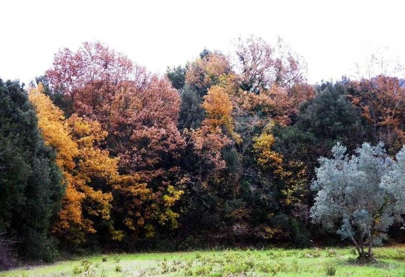 هتل Prato A Baldo