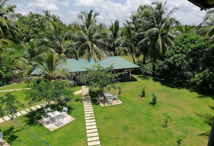 Отель Rajarata Lodge