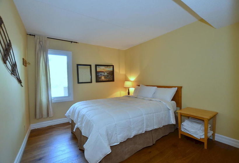 فندق The Lodges At Blue Mountain - Wintergreen Condos