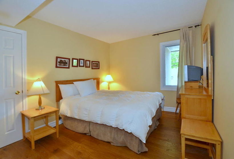 فندق The Lodges At Blue Mountain - Wintergreen Condos