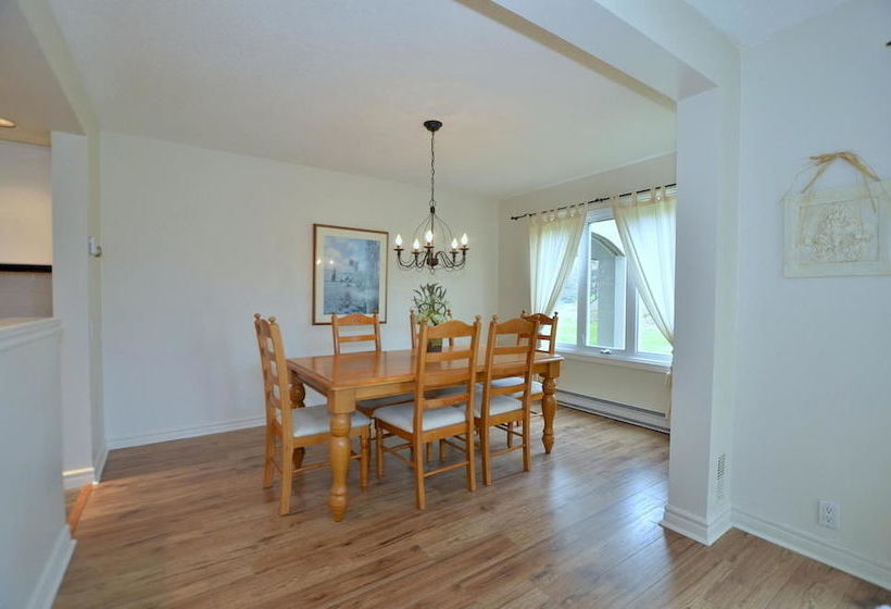 فندق The Lodges At Blue Mountain - Wintergreen Condos