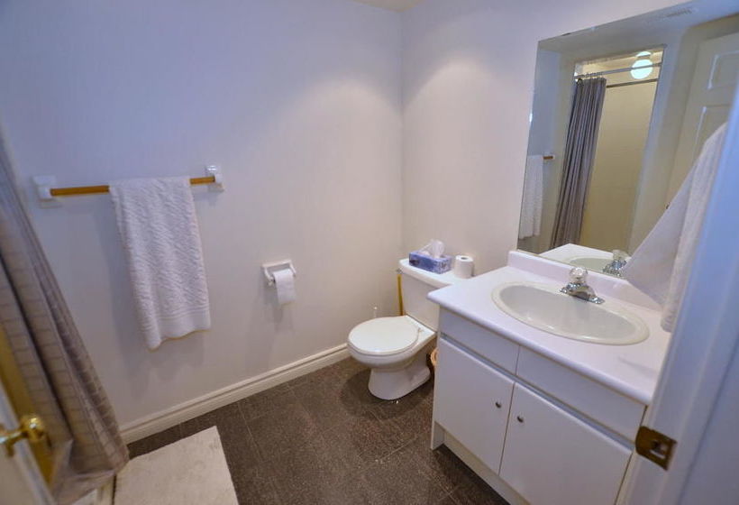 فندق The Lodges At Blue Mountain - Wintergreen Condos