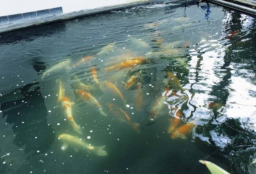 בית מלון כפרי Urban House 195