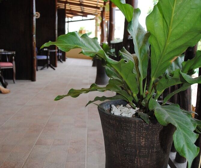 پانسیون Captains Lodge And Bar