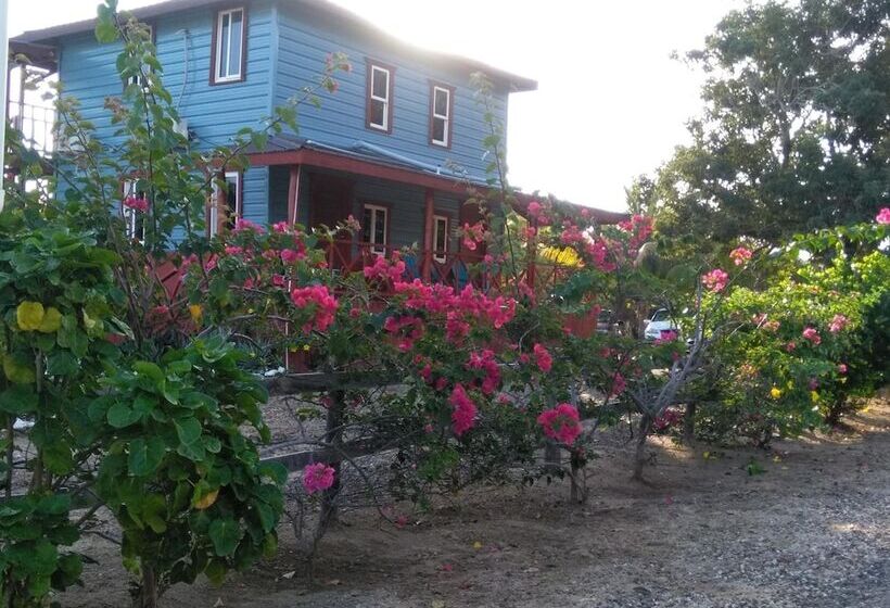 פנסיון Sugar Patch Inn