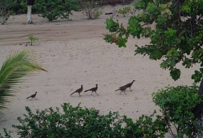 פנסיון Sugar Patch Inn