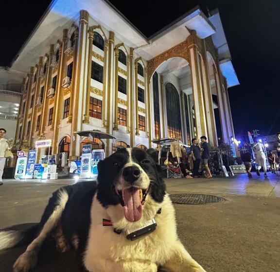 膳宿费 Syri Guesthouse Vientiane Hostel & Cafe