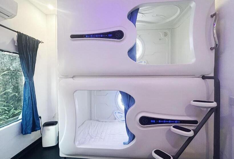 膳宿费 Syri Guesthouse Vientiane Hostel & Cafe