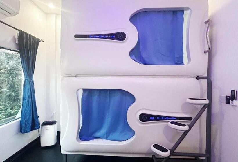 膳宿费 Syri Guesthouse Vientiane Hostel & Cafe