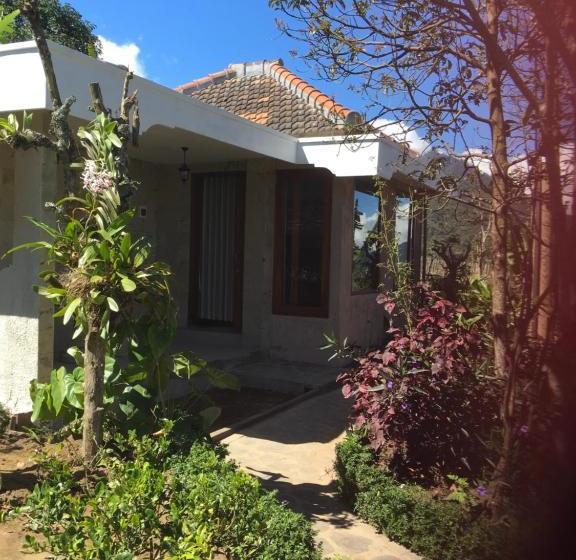 פנסיון Terrasse Du Lac Munduk