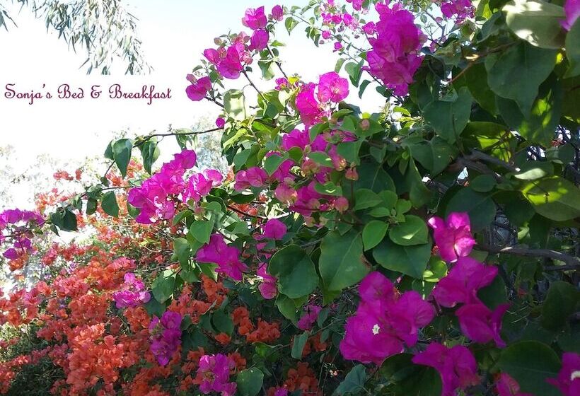 Sonja S Bed And Breakfast