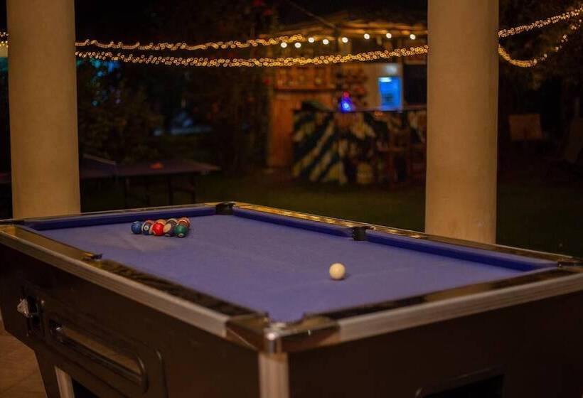 White House Of Tanzania   Hostel