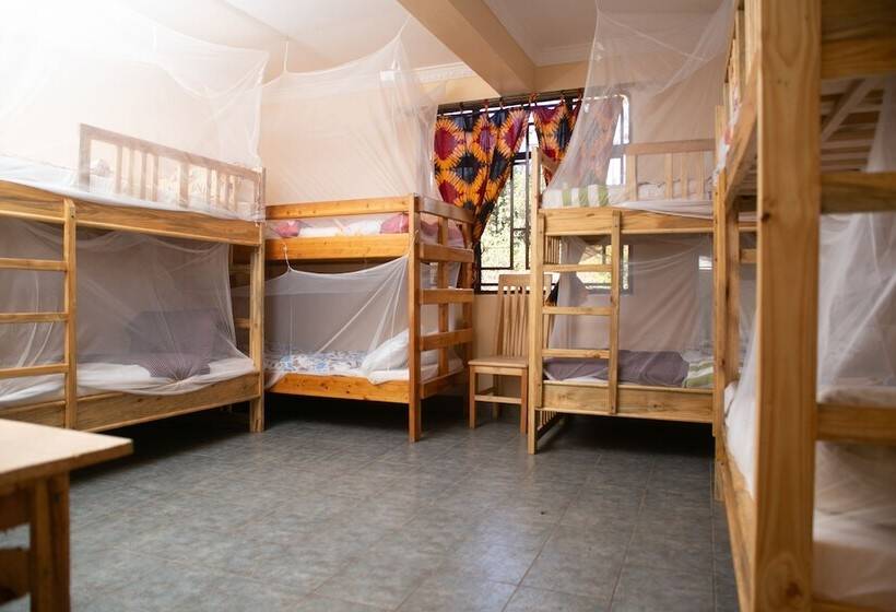 White House Of Tanzania   Hostel