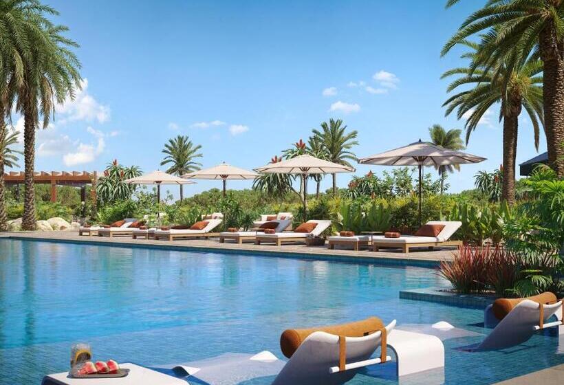 فندق Joia Aruba By Iberostar