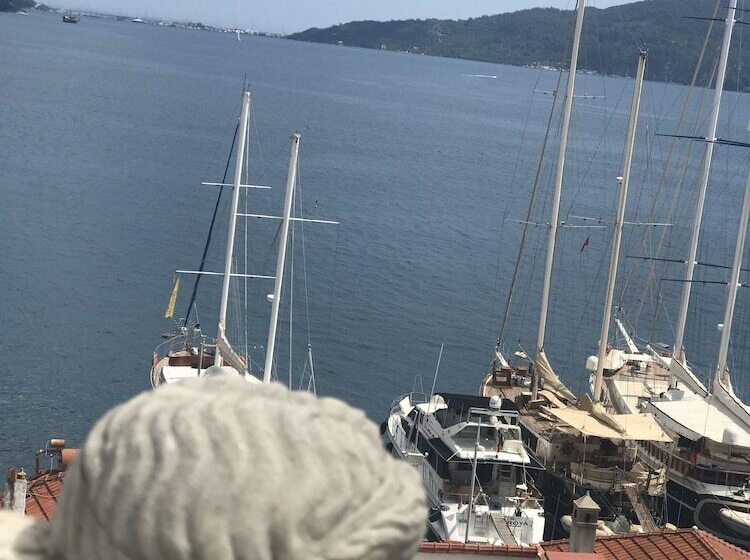 8 Oda Boutique Homes