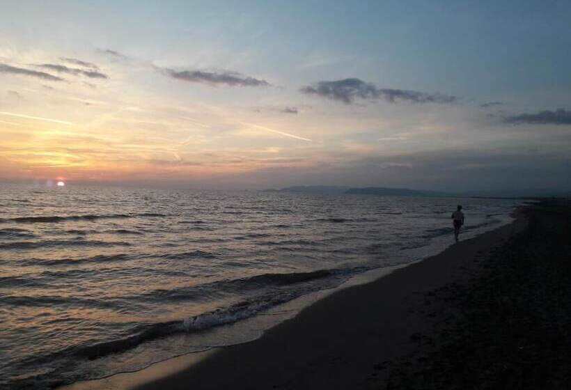 Art Hotel Pietrasanta