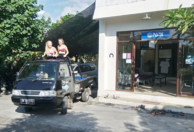 Bali Fab Dive Center   Hostel