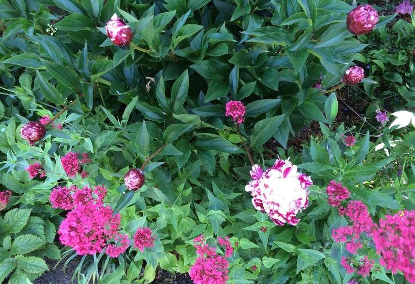 Garden Bed And Breakfast