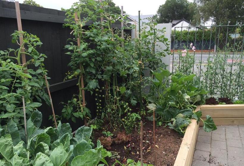 Garden Bed And Breakfast