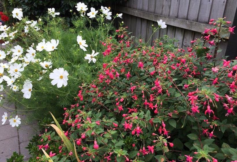 Garden Bed And Breakfast