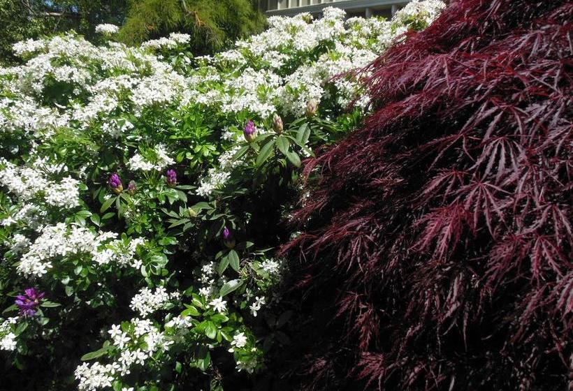 Garden Bed And Breakfast