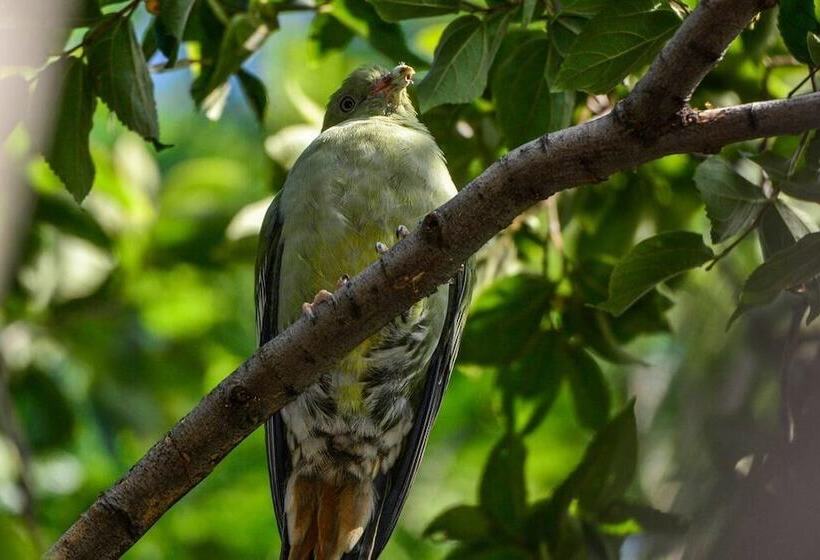 צימר Pierneef's Kraal