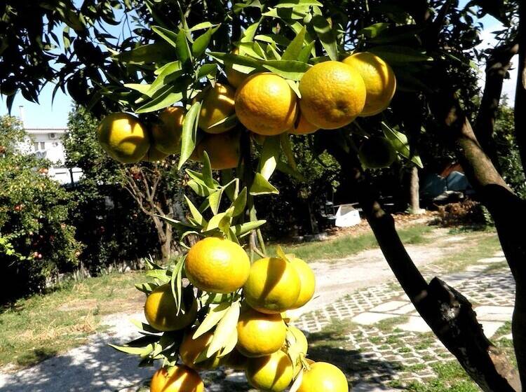 צימר Villa Rocla Guest House Pompei