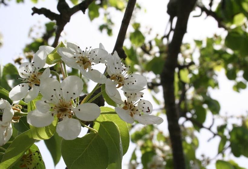 צימר Villa Rocla Guest House Pompei