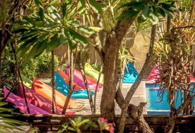 Captain Goose Hostel