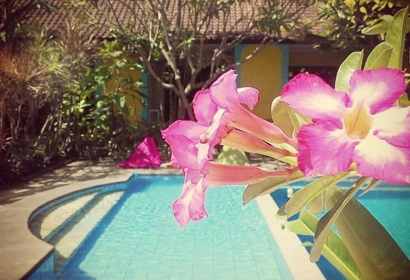 Captain Goose Hostel