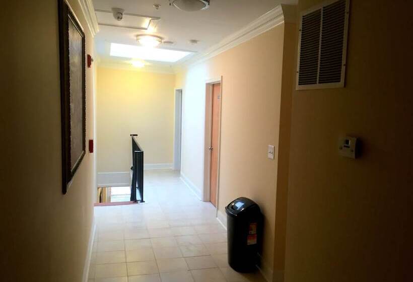 Dc International Hostel 2