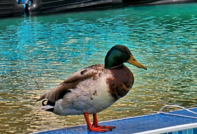 Diamond Beach Sarafovo By Kp