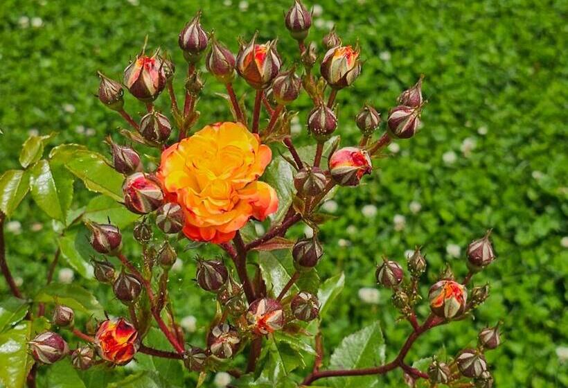 Diamond Beach Sarafovo By Kp