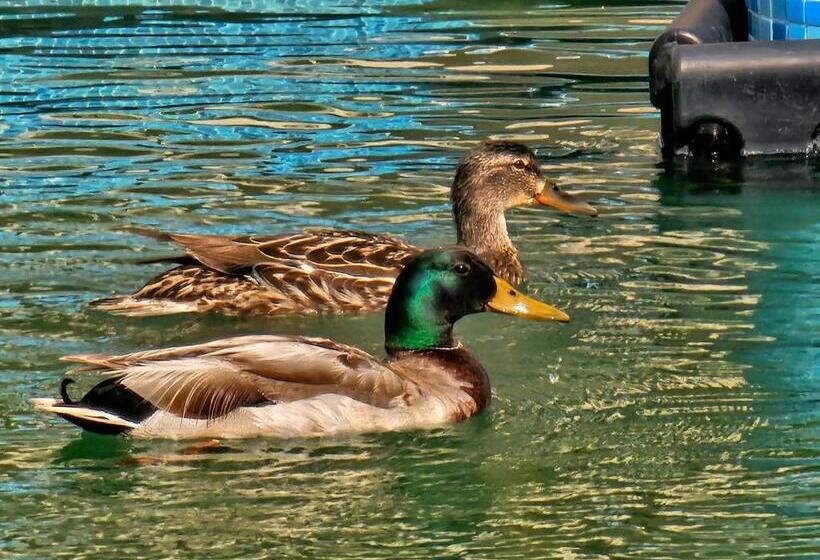 Diamond Beach Sarafovo By Kp