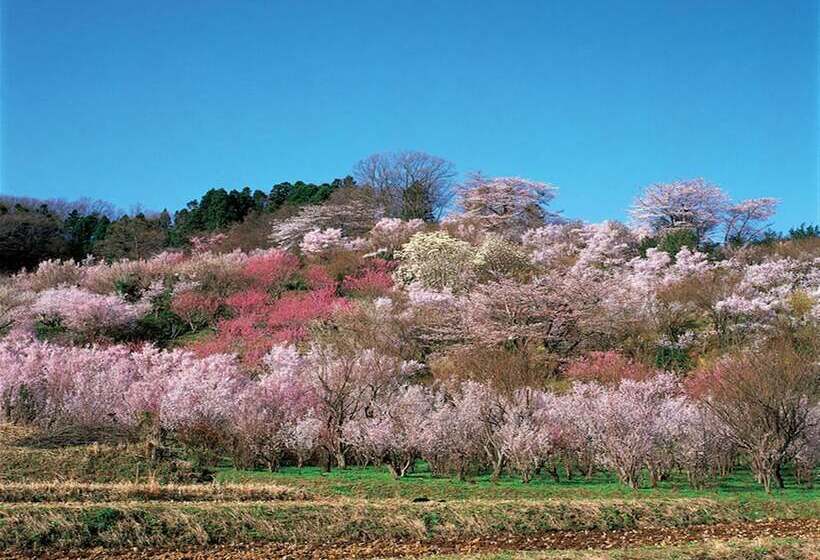Apa Hotel Fukushima Ekimae