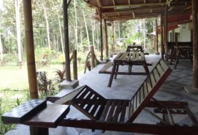 בית מלון כפרי Balitrekk Boutique