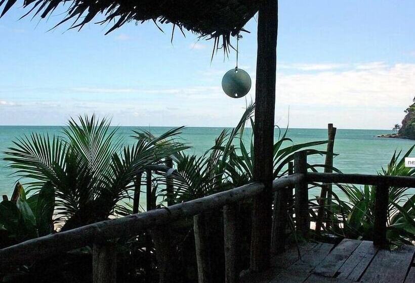 ホテル Jungle Bay Resort