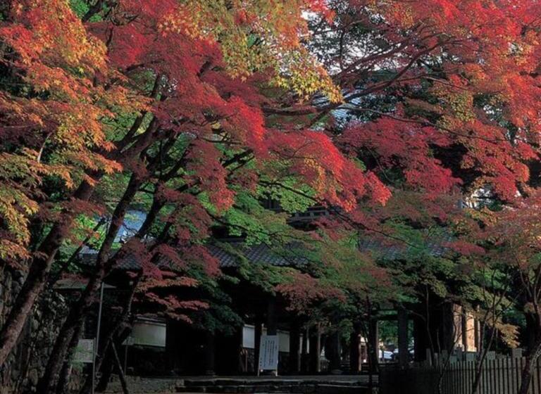 酒店 Kyukamura Ohmi Hachiman