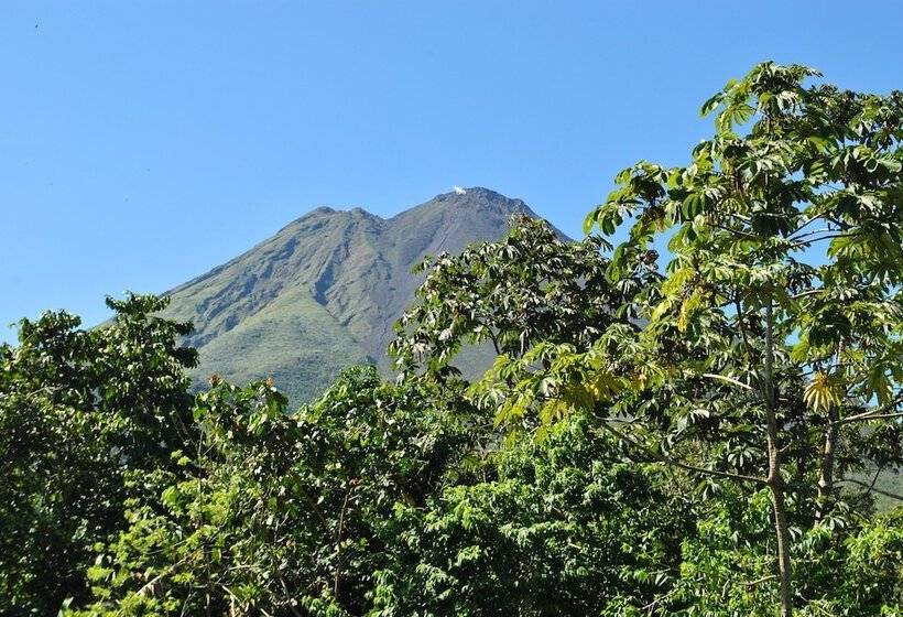 فندق Orquideas Boutique