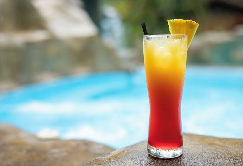 فندق Orquideas Boutique