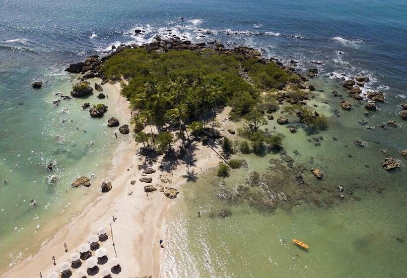 호텔 Pousada Bahia Tambor