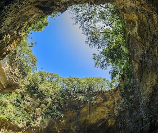בית מלון כפרי Shimoda Ocean Park