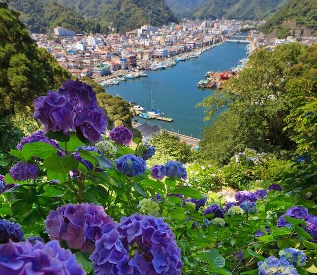 בית מלון כפרי Shimoda Ocean Park