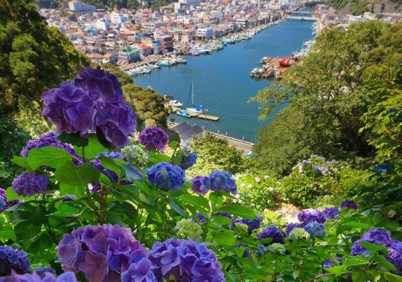 בית מלון כפרי Shimoda Ocean Park