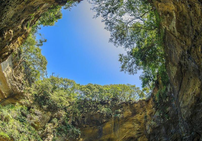 בית מלון כפרי Shimoda Ocean Park