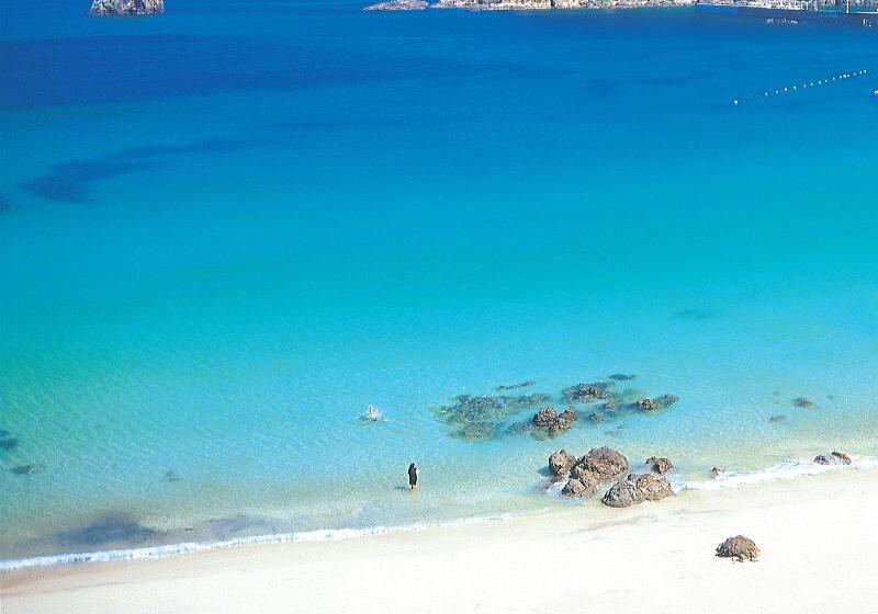 בית מלון כפרי Shimoda Ocean Park