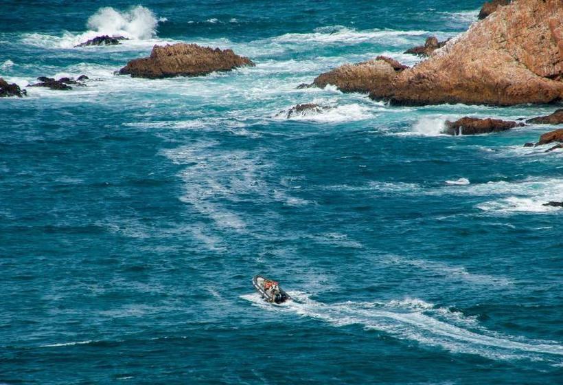 هتل The Mount Knysna