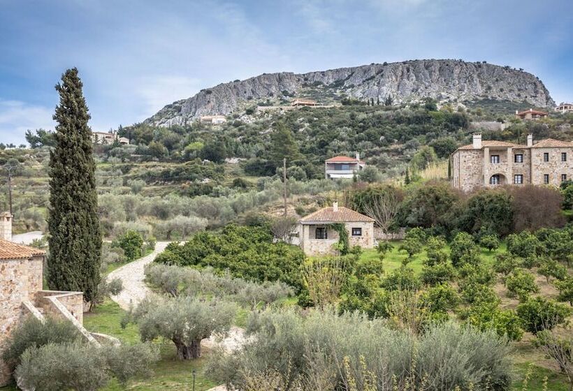 Klymeni Traditional Homes