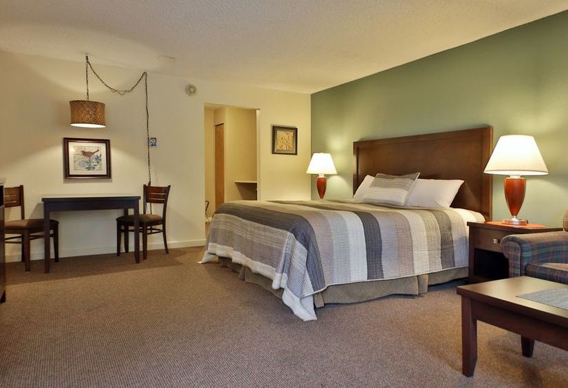 فندق على الطريق Harbor Inn